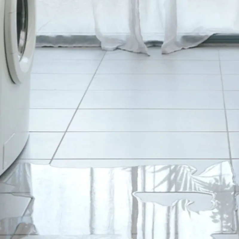 Appliance Leak Cleanup in Hartford, KY