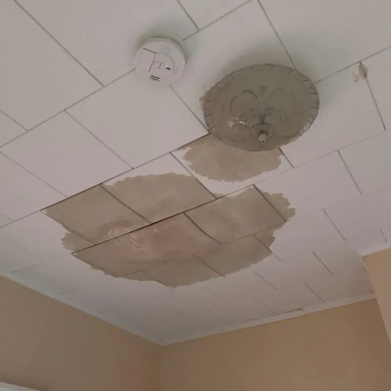 Ceiling Water Damage Repair in Hartford, KY