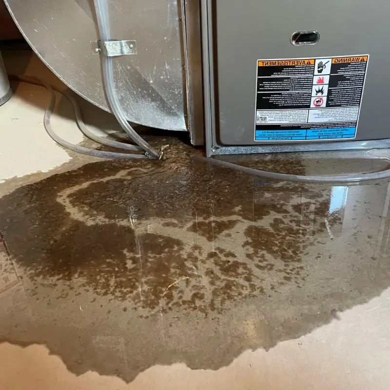 Pipe Burst and Leak Restoration in Hartford, KY
