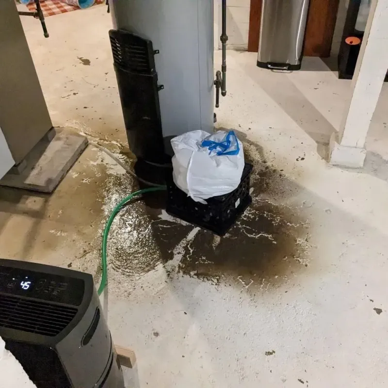 Sewage Backup Cleanup Service in Hartford, KY